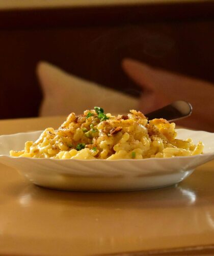 Macaroni served on a plate