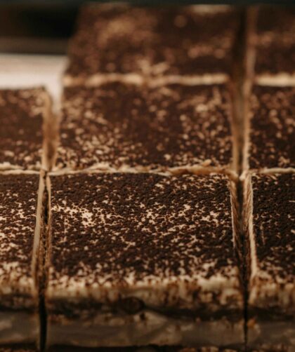 tiramisu served on plate